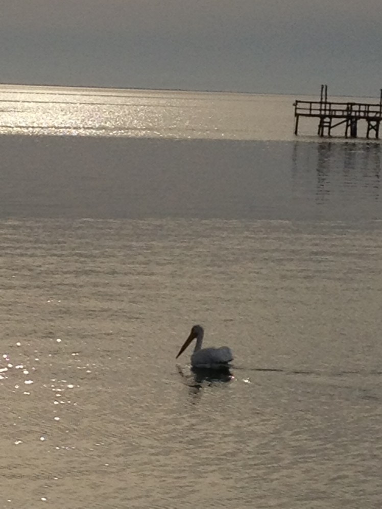 Yeah, it was like that. Hard to think about going home.